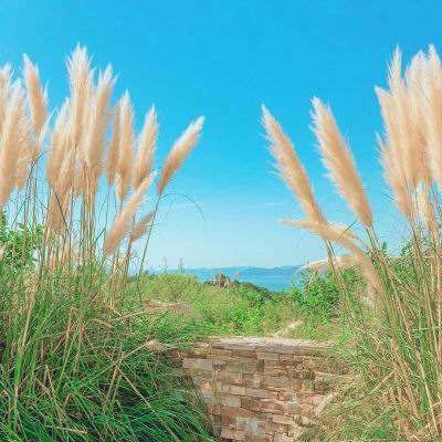 五角大楼计划临时调拨逾10亿美元用于增购导弹拦截弹