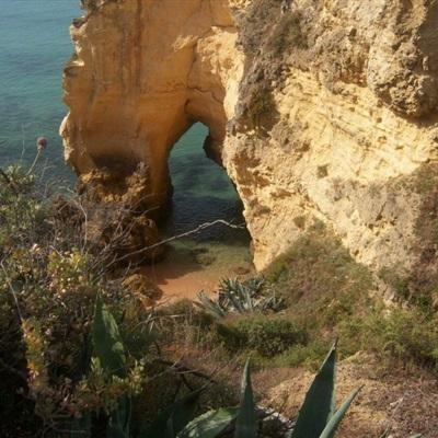 数据显示，过去24小时内多艘船只通过霍尔木兹海峡